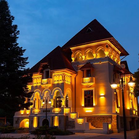 Hotel Casa Danielescu Târgu Jiu Exterior foto