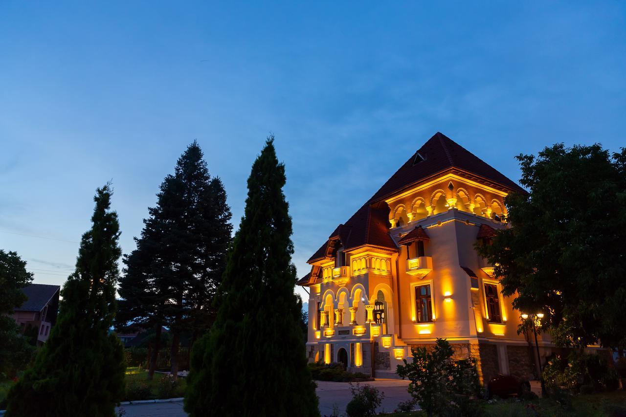 Hotel Casa Danielescu Târgu Jiu Exterior foto