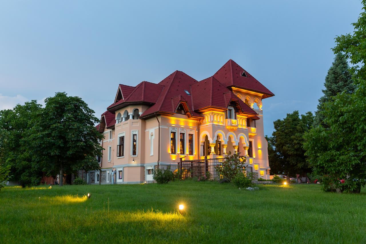 Hotel Casa Danielescu Târgu Jiu Exterior foto